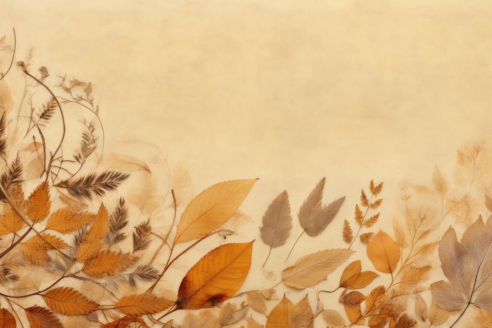 Real Pressed autumn leaves border backgrounds textured painting.