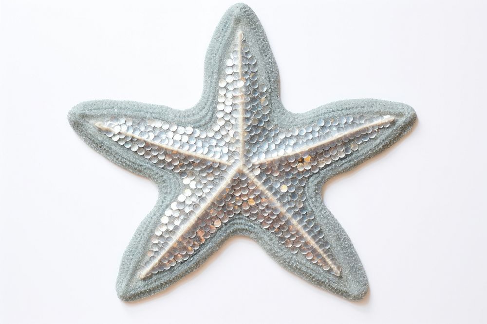 Silver star starfish white background invertebrate.