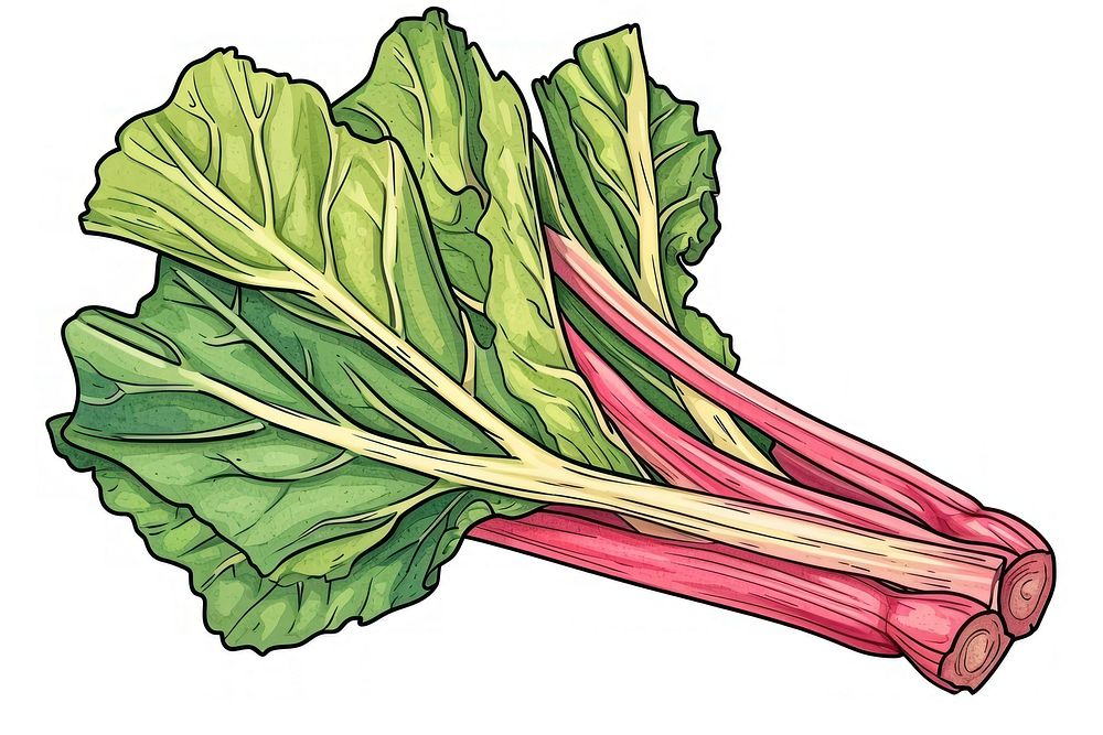 Rhubarb vegetable plant food.
