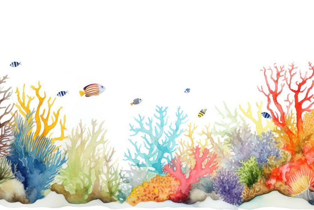 Colorful coral reef aquarium outdoors nature.