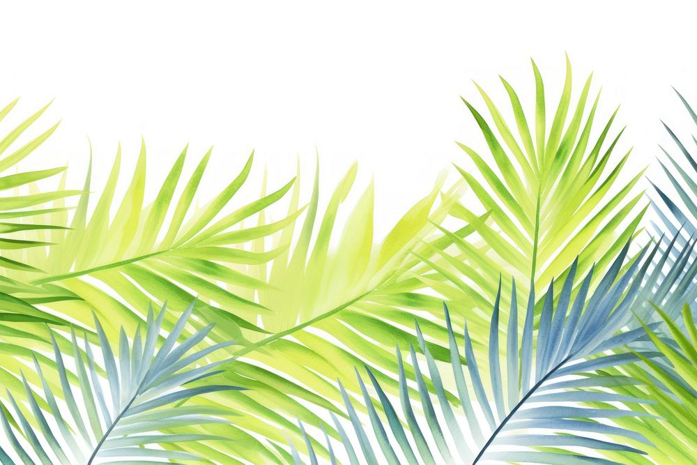 Blue and green coconut leaves border backgrounds outdoors pattern.