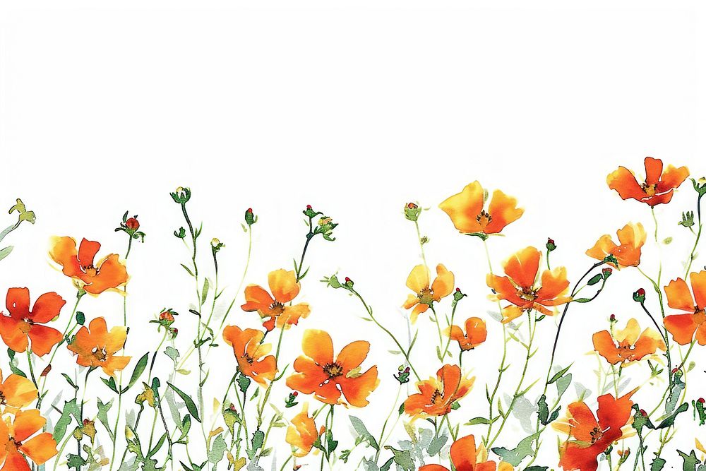 Orange flowers backgrounds pattern plant.