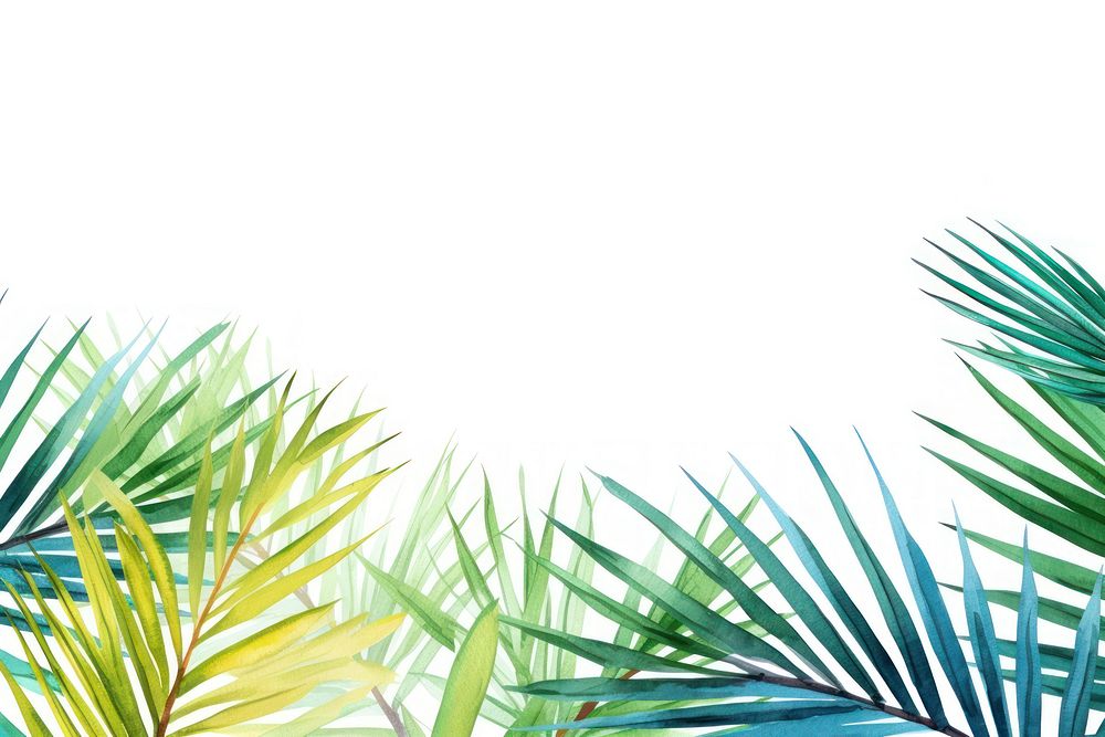 Palm leaves backgrounds outdoors nature.