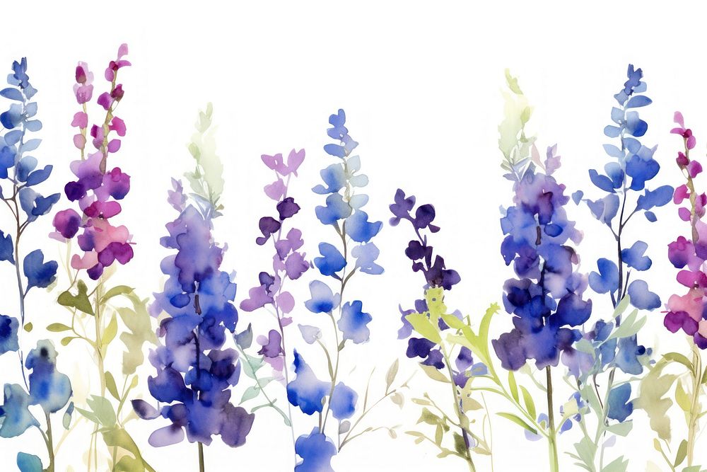 Purple and blue flowers backgrounds lavender blossom.
