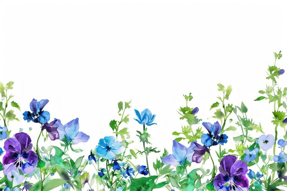 Purple and blue flowers backgrounds outdoors plant.