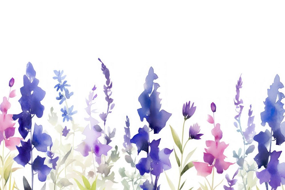 Purple and blue flowers backgrounds lavender outdoors.