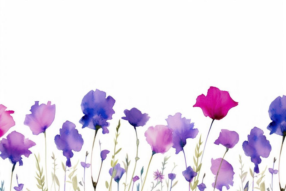 Purple flowers backgrounds outdoors blossom.