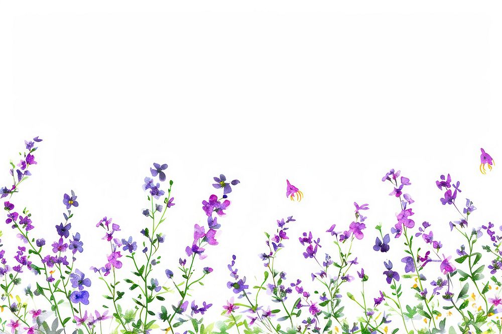 Purple tiny flowers backgrounds lavender outdoors.
