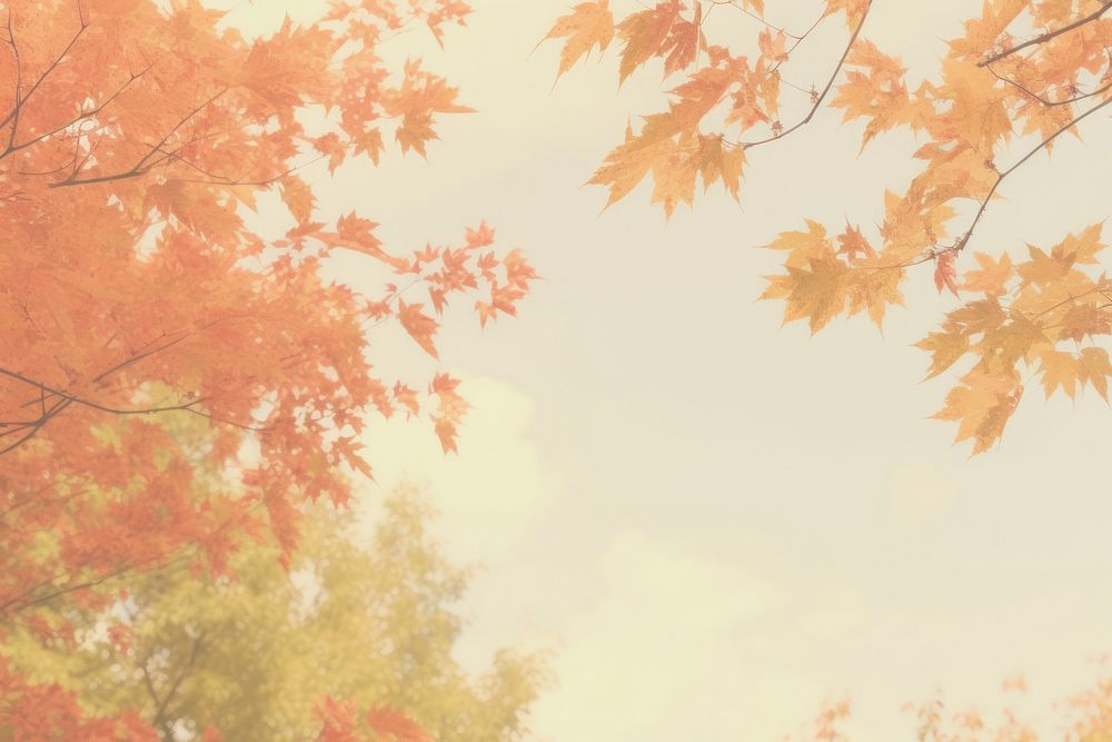 Aesthetic autumn scenery photo backgrounds | Free Photo Illustration - rawpixel