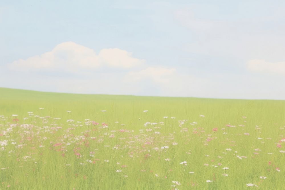 Aesthetic meadow scenery photo backgrounds grassland outdoors.