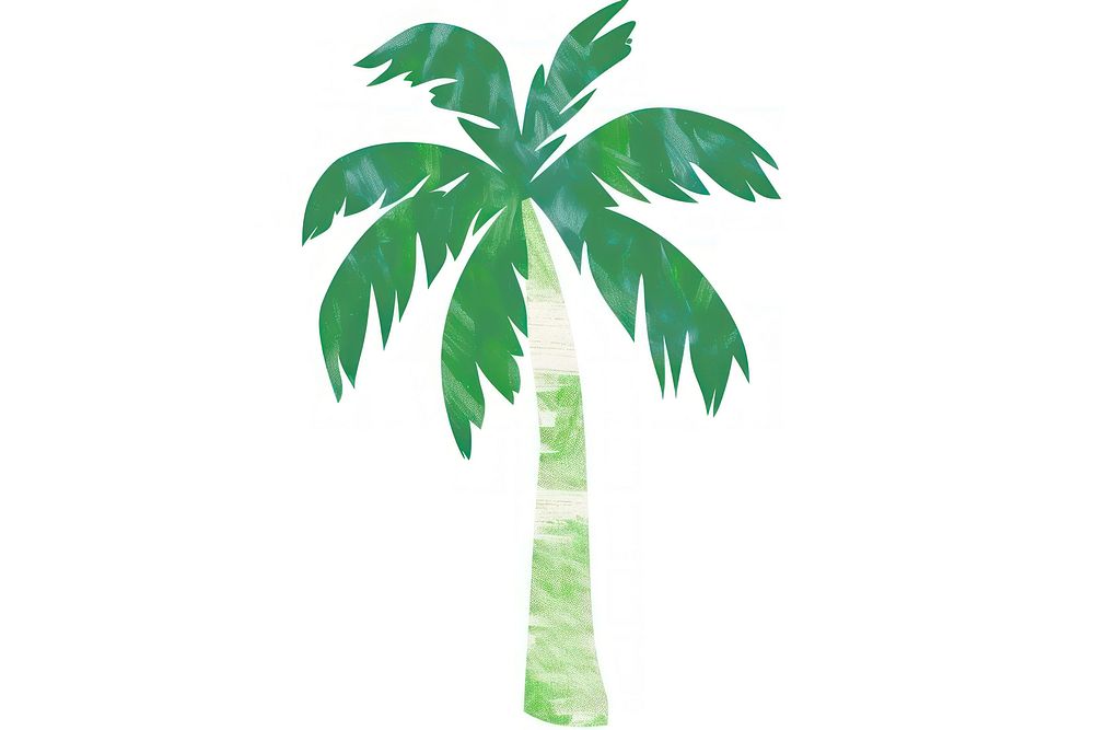 Palm tree plant leaf white background.