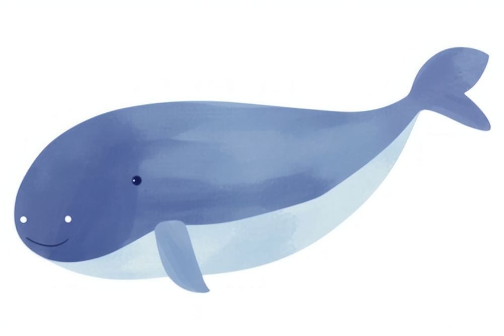 Hand drawn a whale in kid illustration book style animal mammal white background.