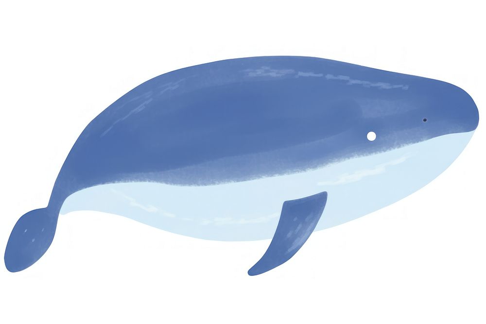 Hand drawn a whale in kid illustration book style dolphin animal mammal.