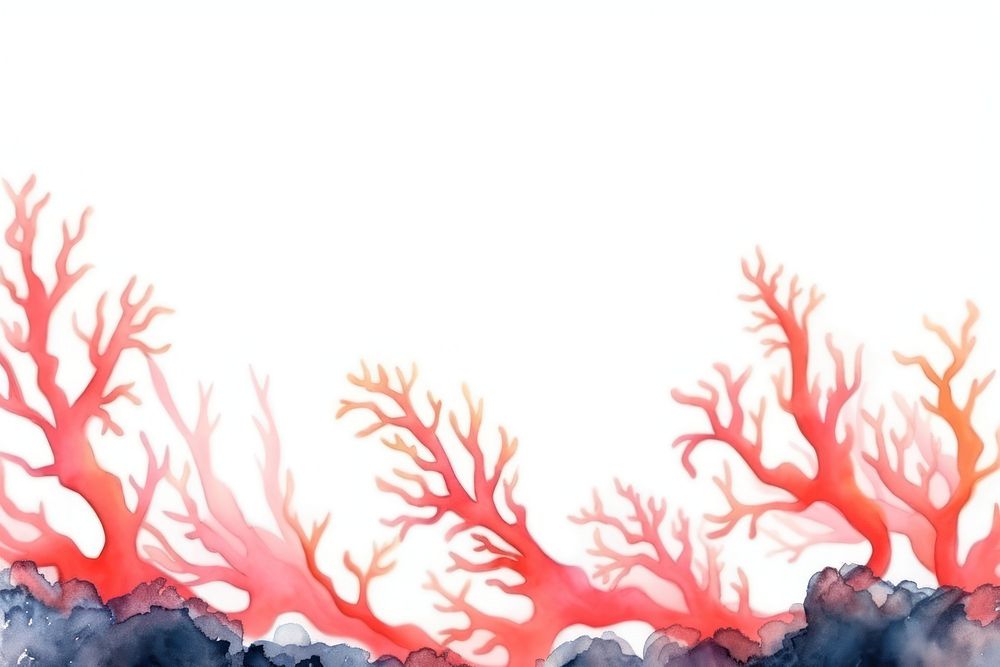 Coral nature backgrounds outdoors.