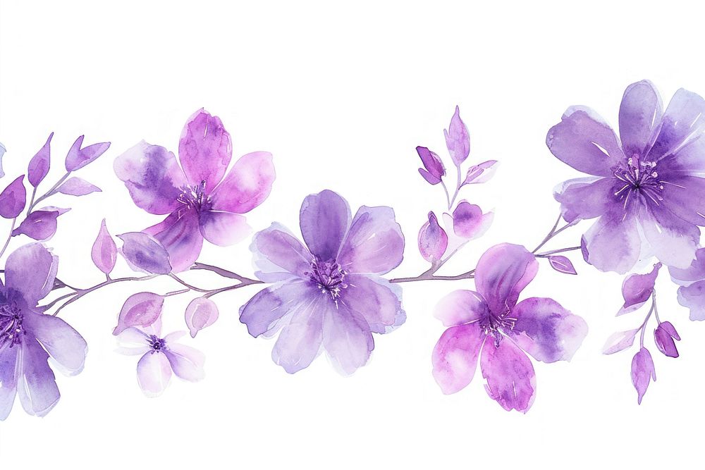 Purple flower blossom nature petal.