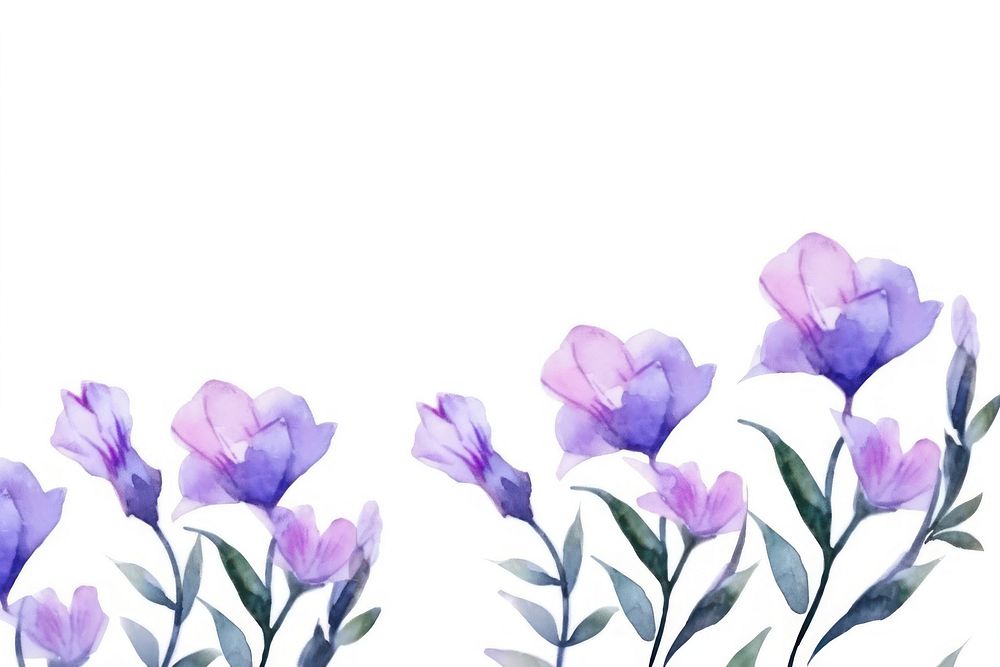 Purple flower backgrounds lavender blossom.
