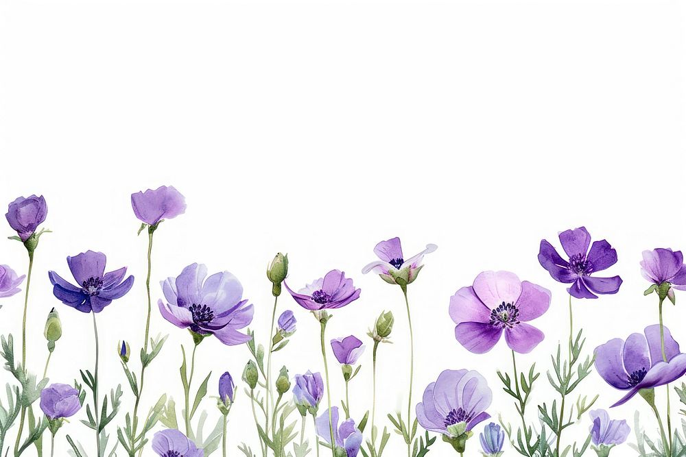 Purple flower nature backgrounds lavender.