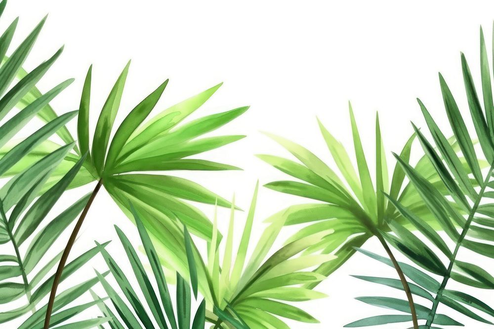 Palm leaves nature backgrounds vegetation.