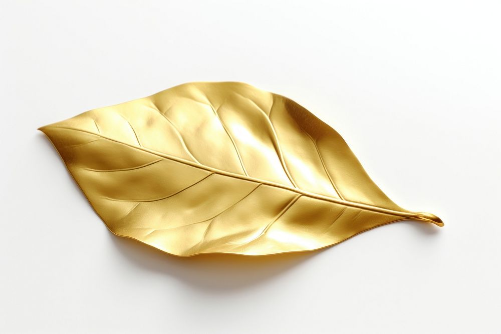 Leaf plant gold white background.