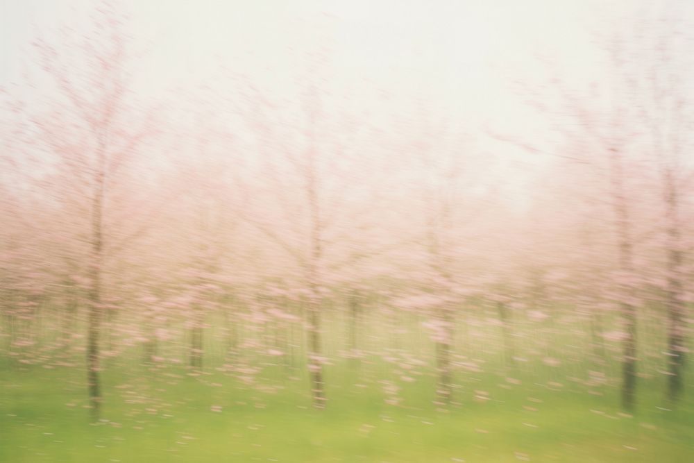 Pink spring outdoors nature forest. AI generated Image by rawpixel.