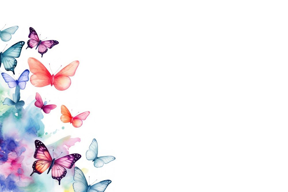 Painting butterfly border pattern nature petal.