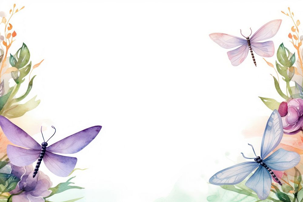 Painting dragonflys border butterfly nature flower.