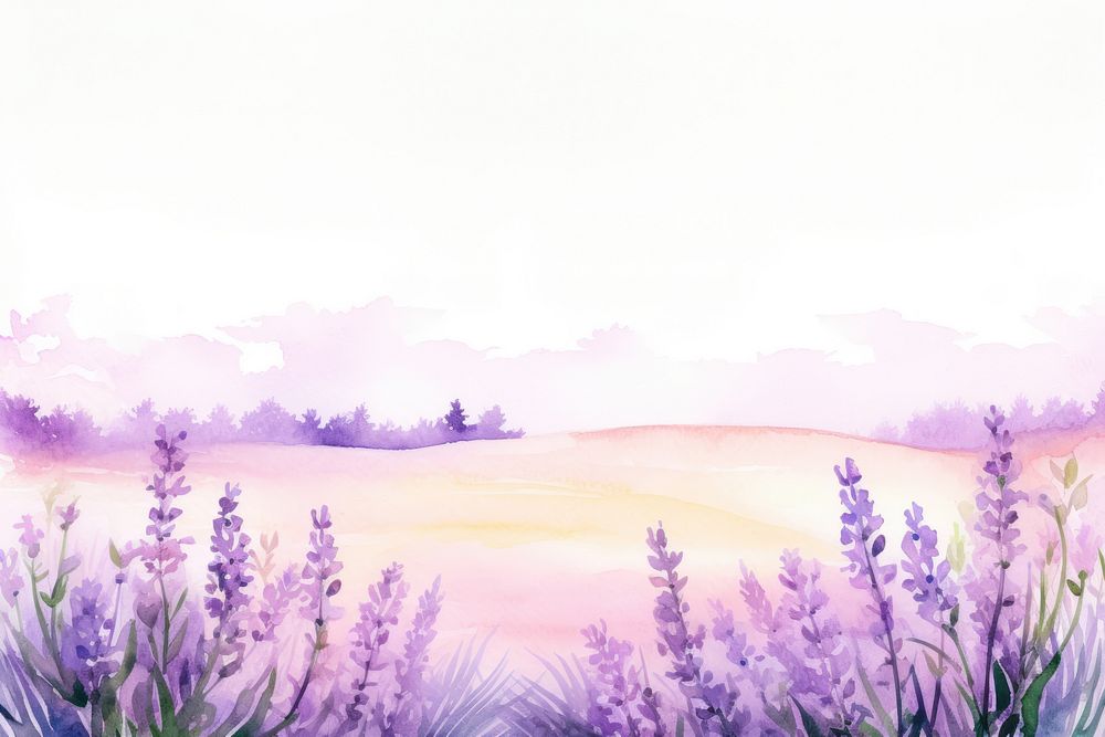 Painting lavender fields border landscape nature outdoors.