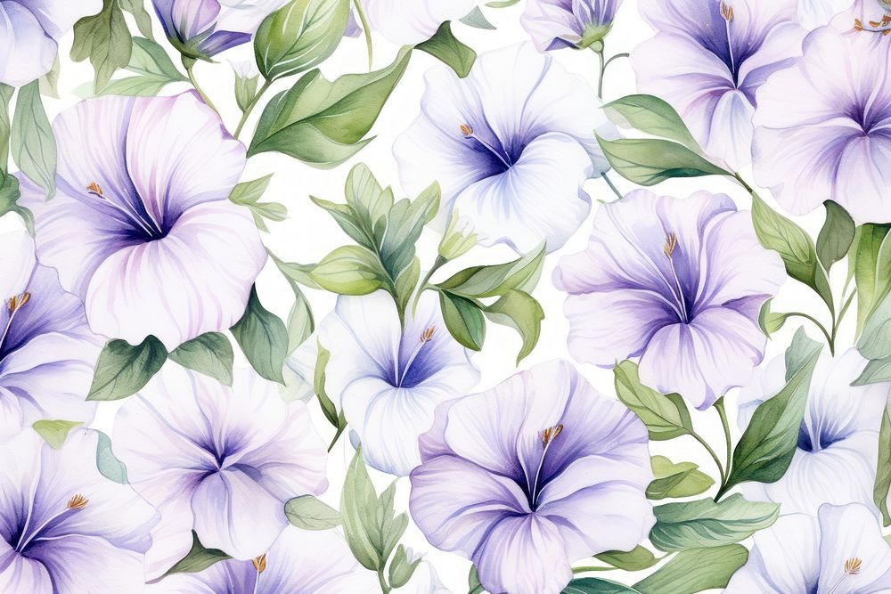 White petunia border backgrounds pattern flower.
