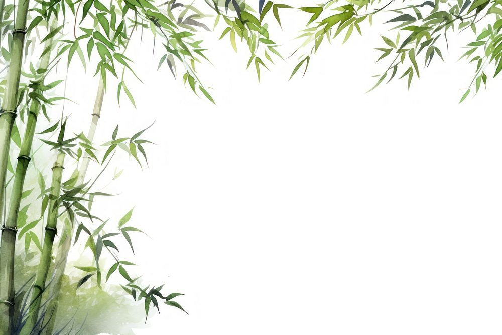 Painting of bamboos plant backgrounds freshness.
