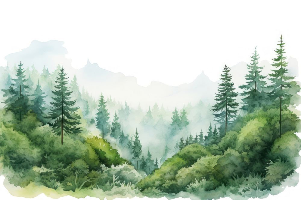 Painting of forest landscape nature wilderness.