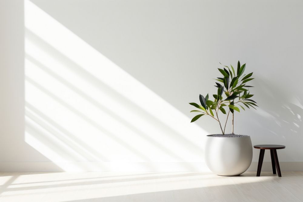 A modern livingroom windowsill plant white.