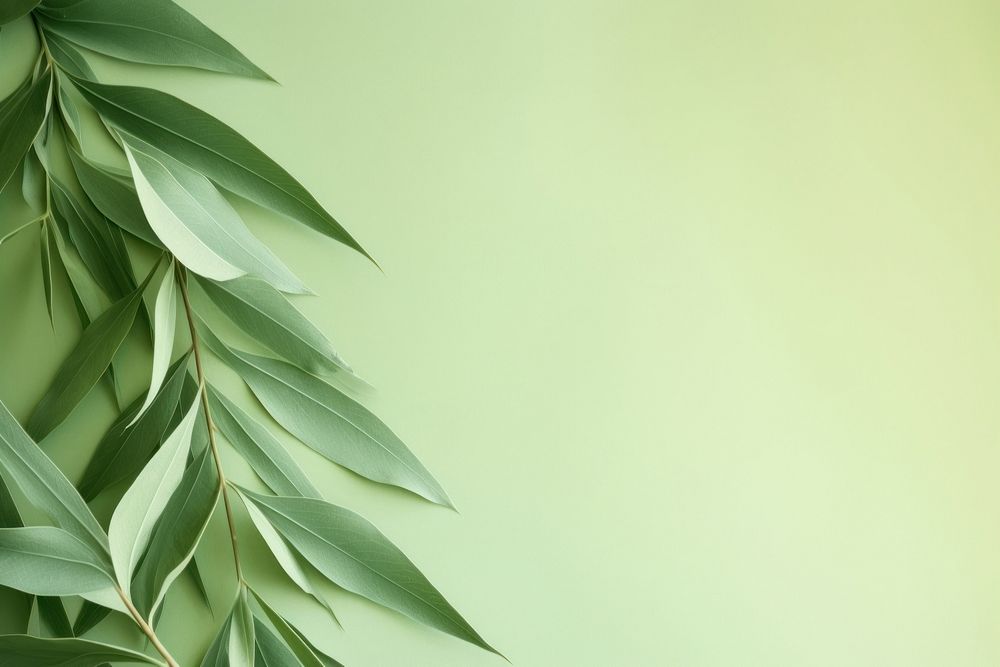 Aesthetic gradient green background backgrounds plant leaf. AI generated Image by rawpixel.