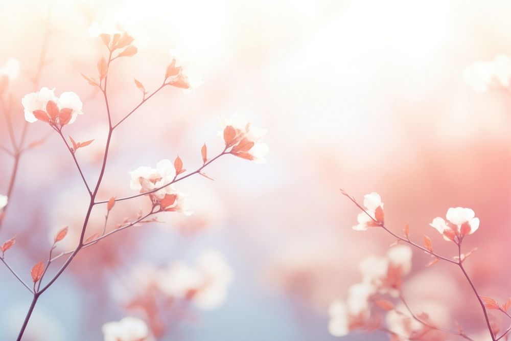 Blurred nature background backgrounds outdoors blossom. AI generated Image by rawpixel.