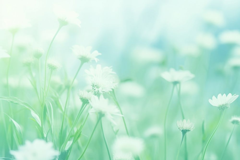 Blurred nature background green backgrounds outdoors. AI generated Image by rawpixel.