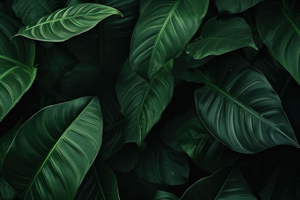 Green aesthetic texture background backgrounds | Free Photo - rawpixel