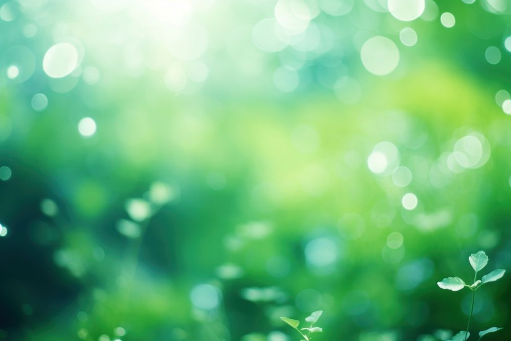 Green bokeh background outdoors backgrounds sunlight. AI generated Image by rawpixel.