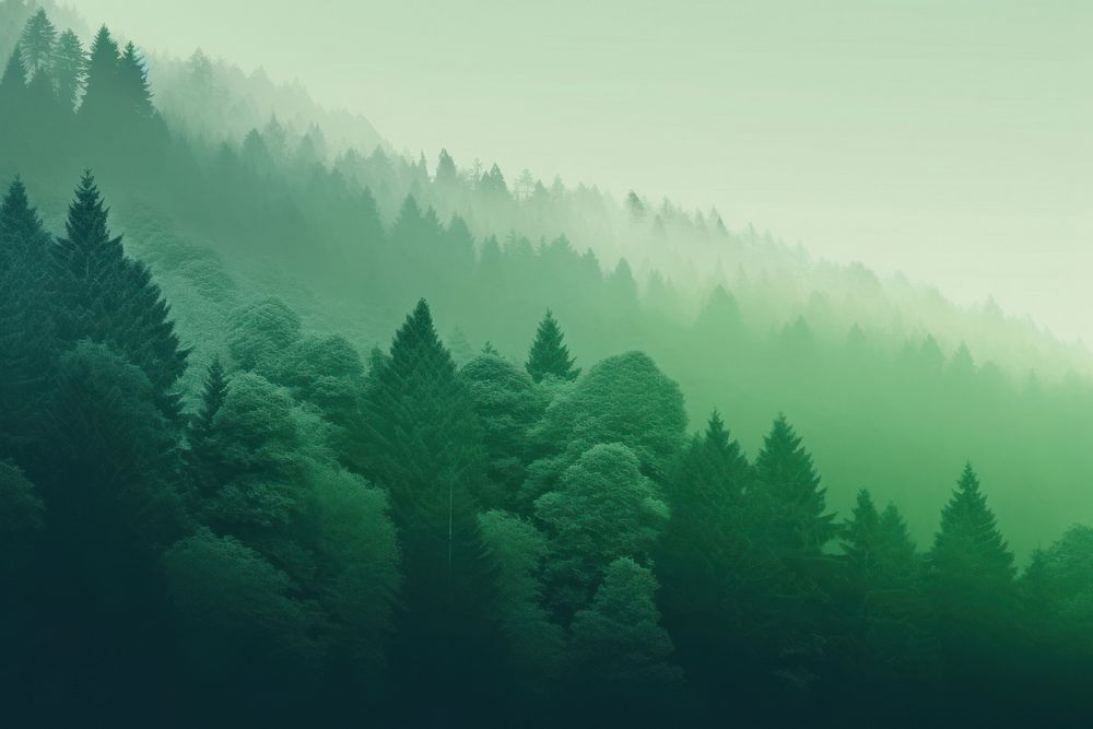 Green nature background backgrounds outdoors woodland. AI generated Image by rawpixel.