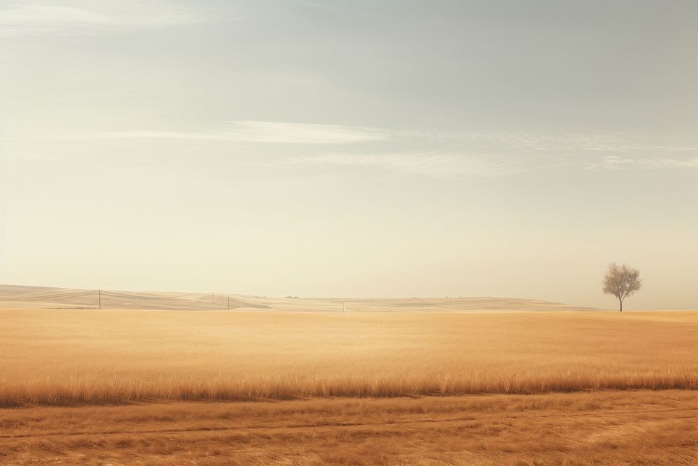 Minimal field and countryside landscape outdoors horizon.