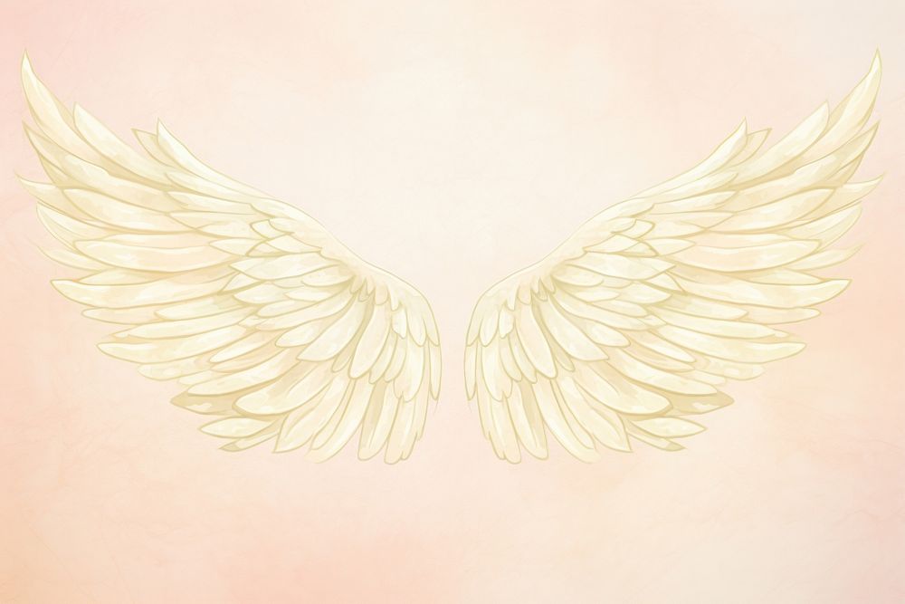 Illustration of angel wing creativity archangel pattern.
