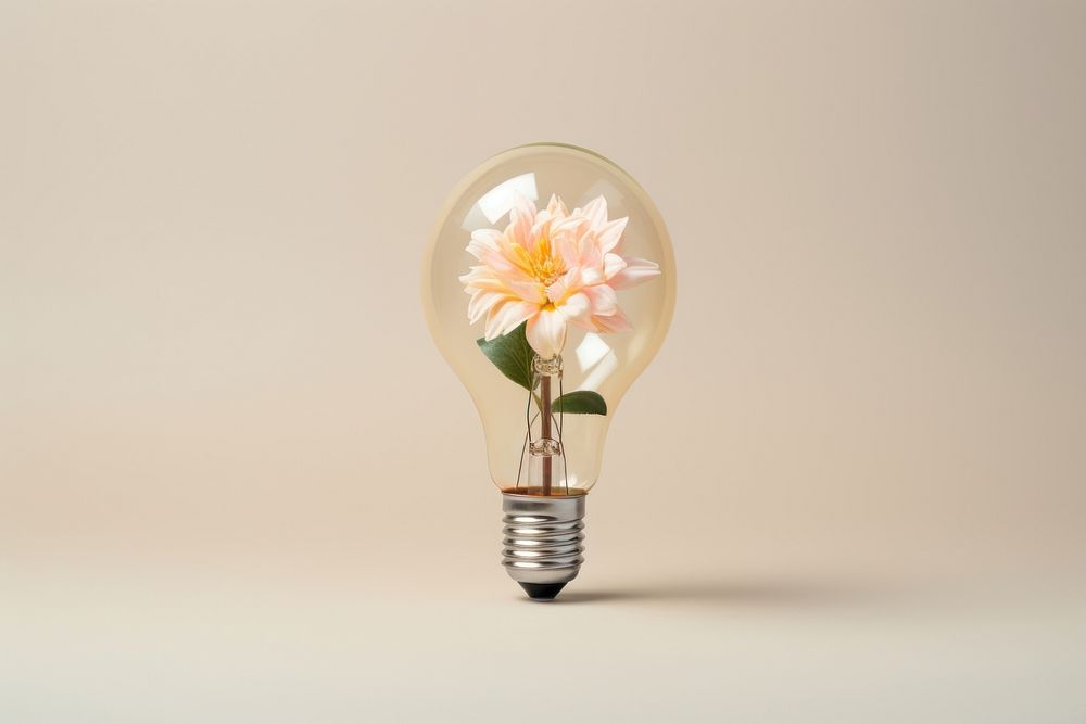 Light bulb with flower lightbulb innovation inflorescence.