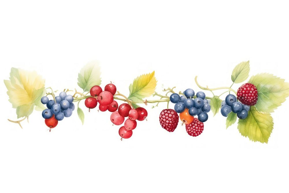 Berrys decorate blueberry raspberry grapes.