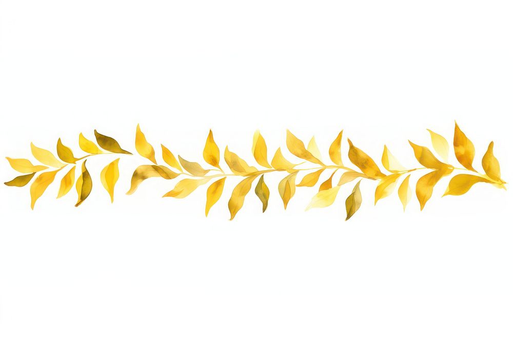 Gold leafs pattern plant white background.