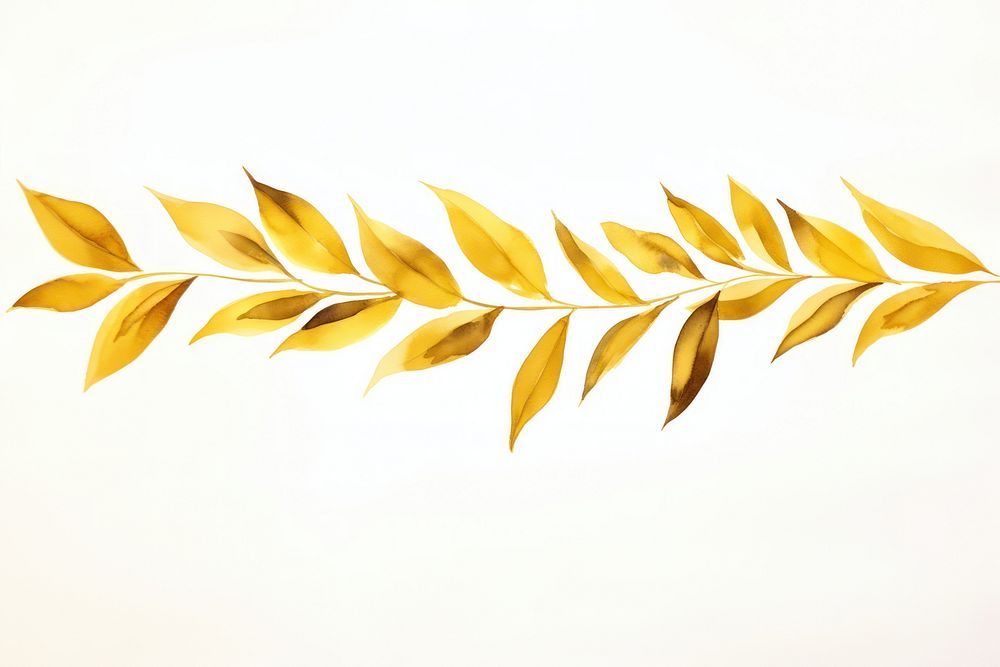 Gold leafs pattern plant white background.