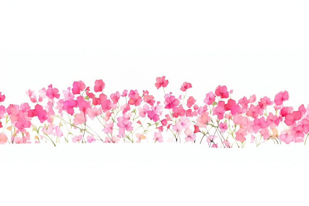 Pink flowers backgrounds outdoors nature.