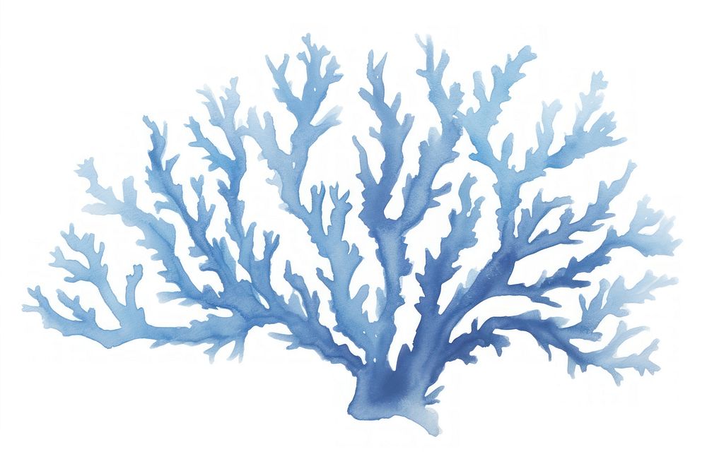 Pretty blue coral drawing nature sketch.