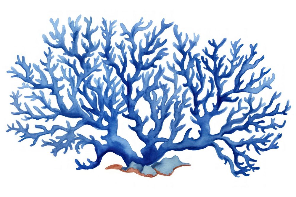 Pretty blue corals nature sketch water.