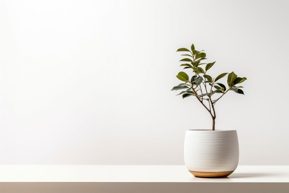 Vintage minimal Pottery white planter windowsill pottery vase.