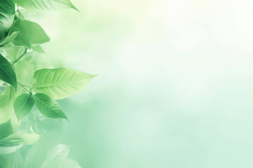 Pastel green nature background backgrounds | Free Photo Illustration ...