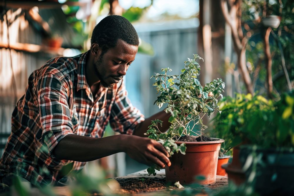 Black man taking care of a plant pot outdoors garden gardening. AI generated Image by rawpixel.