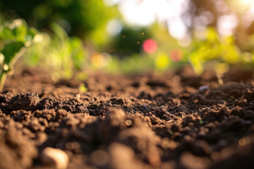 Gardening soil backdrop backgrounds outdoors nature. AI generated Image by rawpixel.